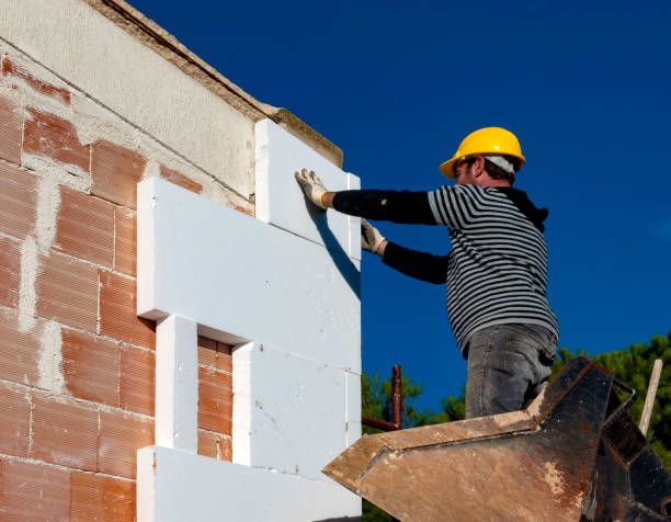 Best Eco-Friendly Insulation in Woodlyn, PA