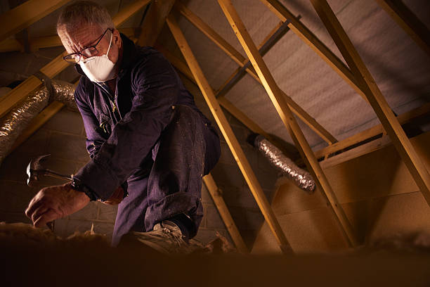 Professional Insulation Contractor in Woodlyn, PA