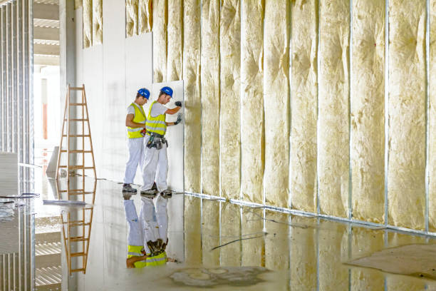 Best DIY Insulation Kits and Guidance in Woodlyn, PA